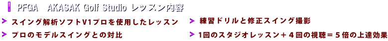 PFGA レッスン